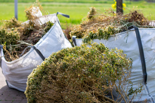 Best Construction Debris Removal  in George Mason, VA